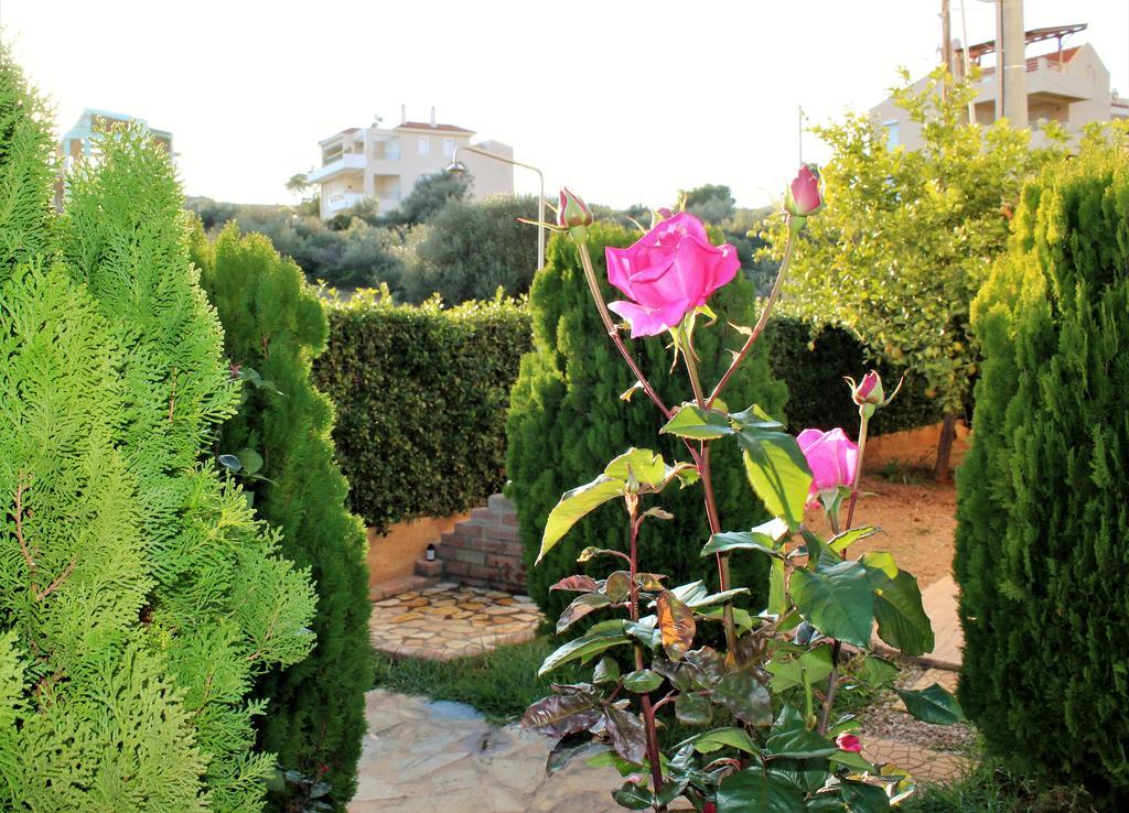 Helen'S Sounio Apartments Sounion Ngoại thất bức ảnh