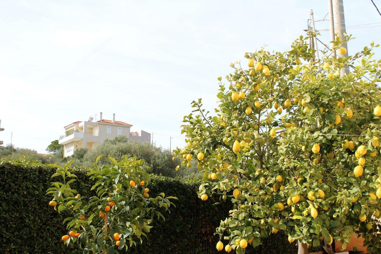 Helen'S Sounio Apartments Sounion Ngoại thất bức ảnh